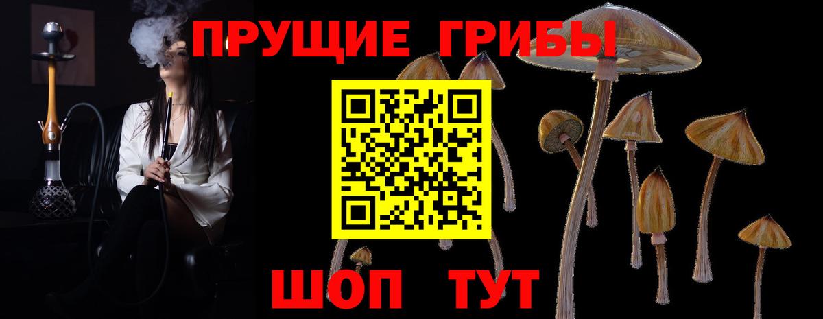 Псилоцибиновые грибы MAGIC MUSHROOMS  Вход с VPN  Черняховск  Псилоцибиновые грибы MAGIC MUSHROOMS 