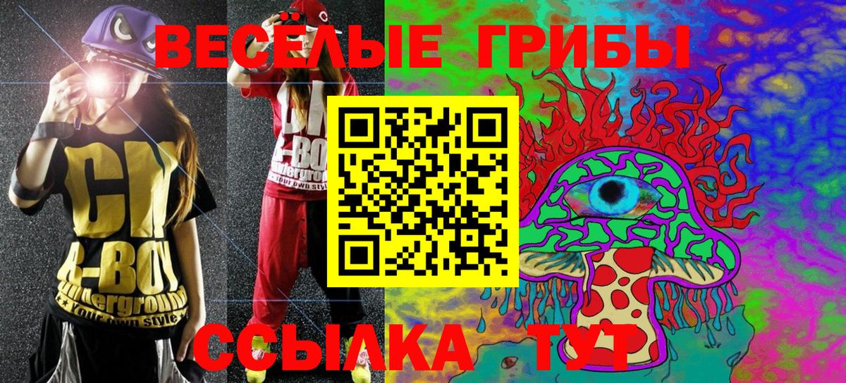 Галлюциногенные грибы ЛСД Черняховск