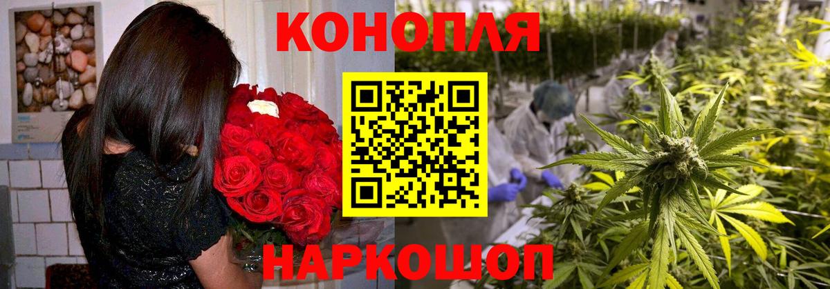 Конопля ГИДРОПОН  Конопля марихуана  Черняховск  Вход с VPN  Марихуана OG Kush 